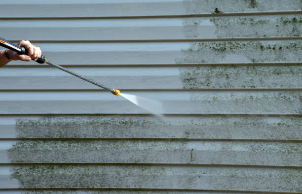 Best Driveway Pressure Washing  in Coopersville, MI